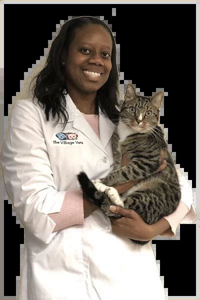 the village vets westside|THE VILLAGE VETS WESTSIDE .